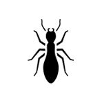 Ant Control pest control service icon