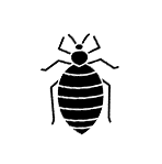 Bed bug control pest control service icon
