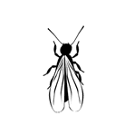 Wasp & Bee Control pest control service icon