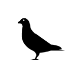 Birds control pest control service icon