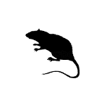 Rodent control pest control service icon