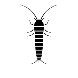 Silverfish control pest control service icon
